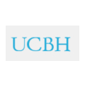 UCBH Holdings