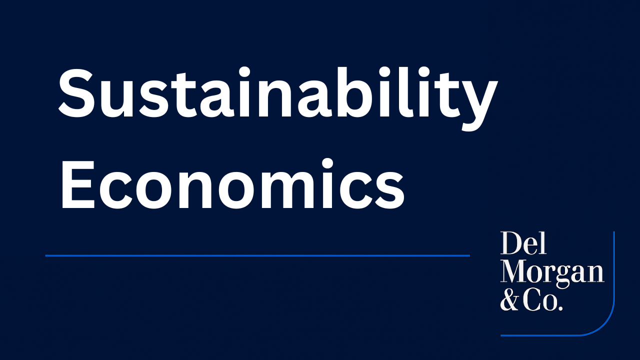 Sustainability Economics:  Costs, Returns and Tradeoffs of Green Transition