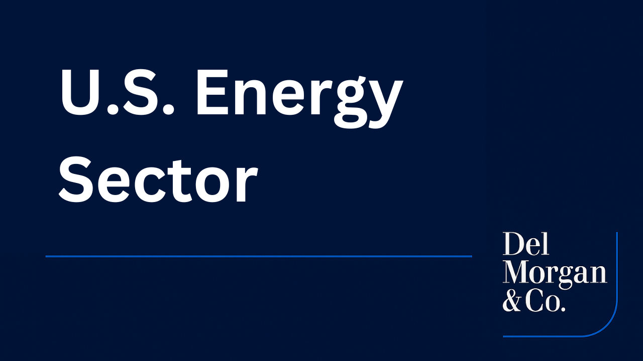 Powering the Build-Out:  Energy Transition & Climate-Driven Finance in 2025 